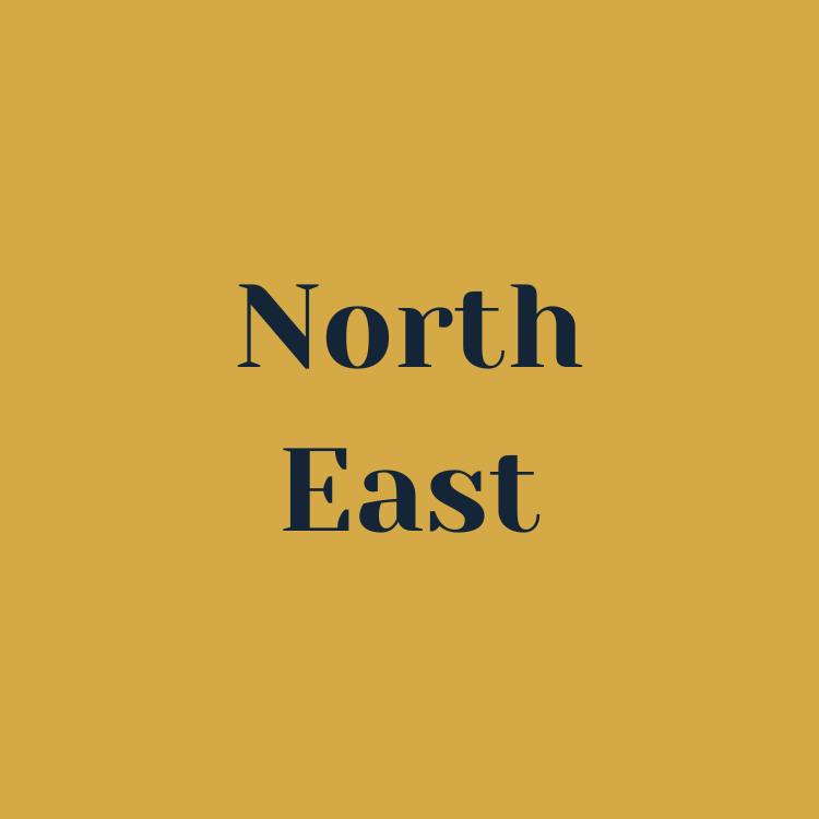 The Riveter x TARRA TARRA